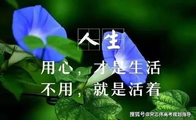 明星版小苹果舞蹈:盘点大学里最烧钱的11个专业！有孩子想报的专业吗？