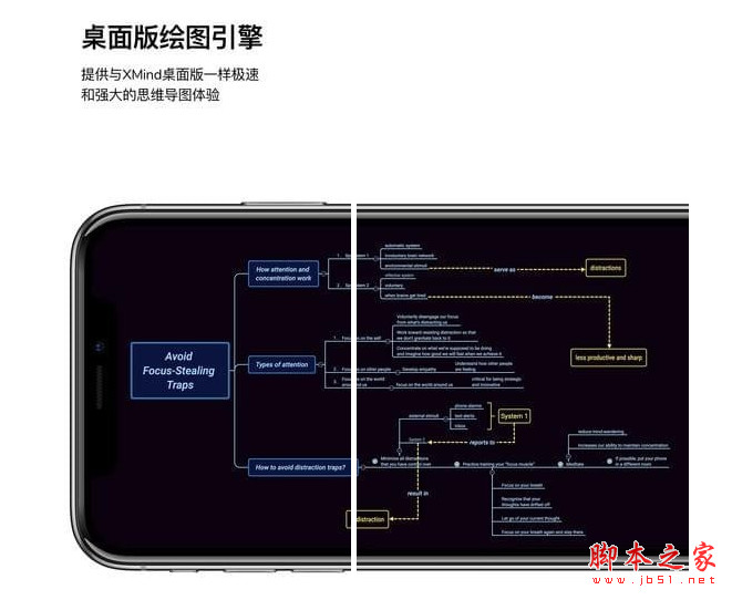 苹果版思维导图软件以苹果为主题的思维导图-第2张图片-太平洋在线下载