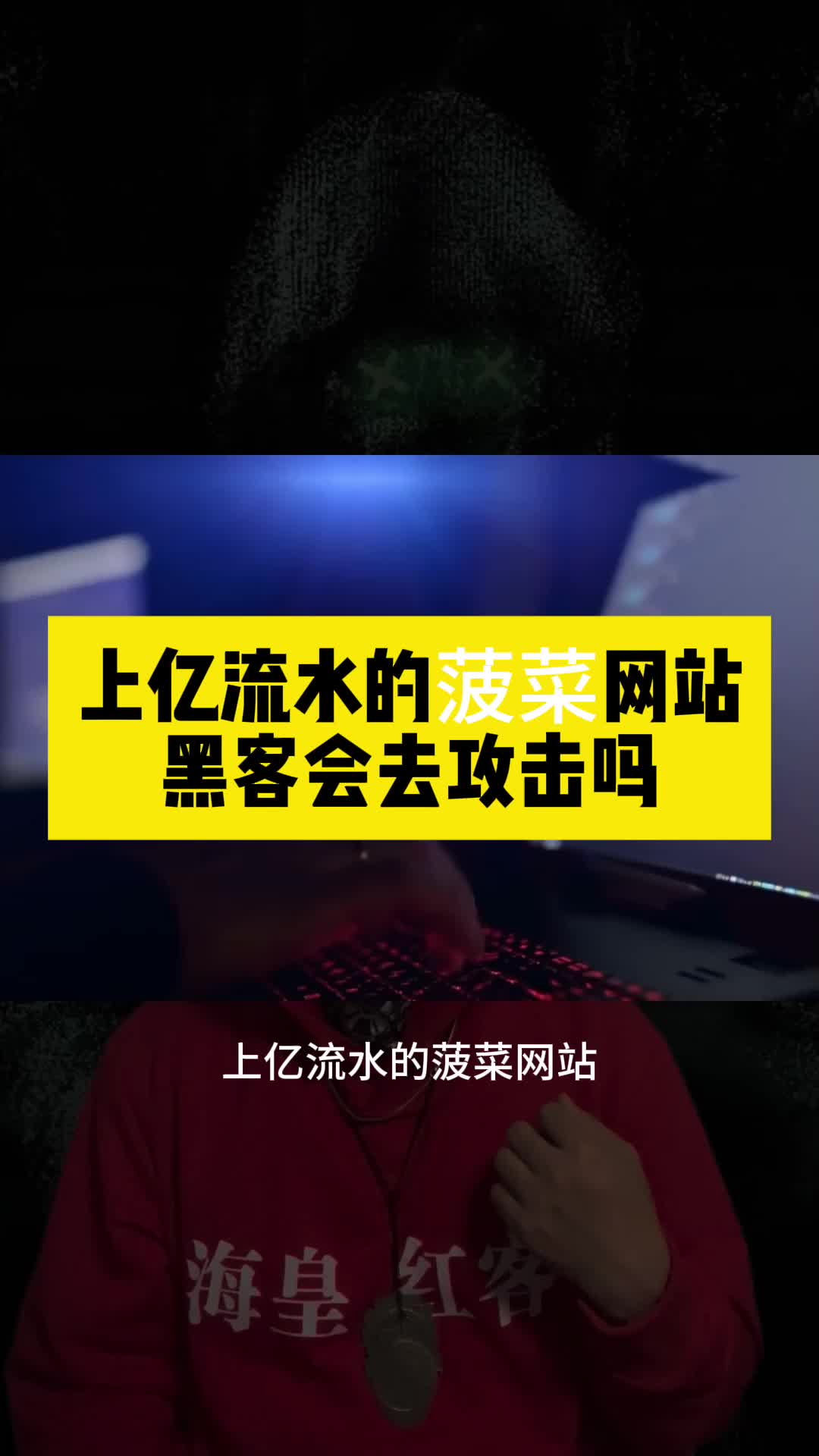 黑客手机版的下载网址黑客软件中文版手机下载